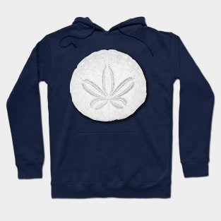 Sand Dollar Graphic Design Hoodie